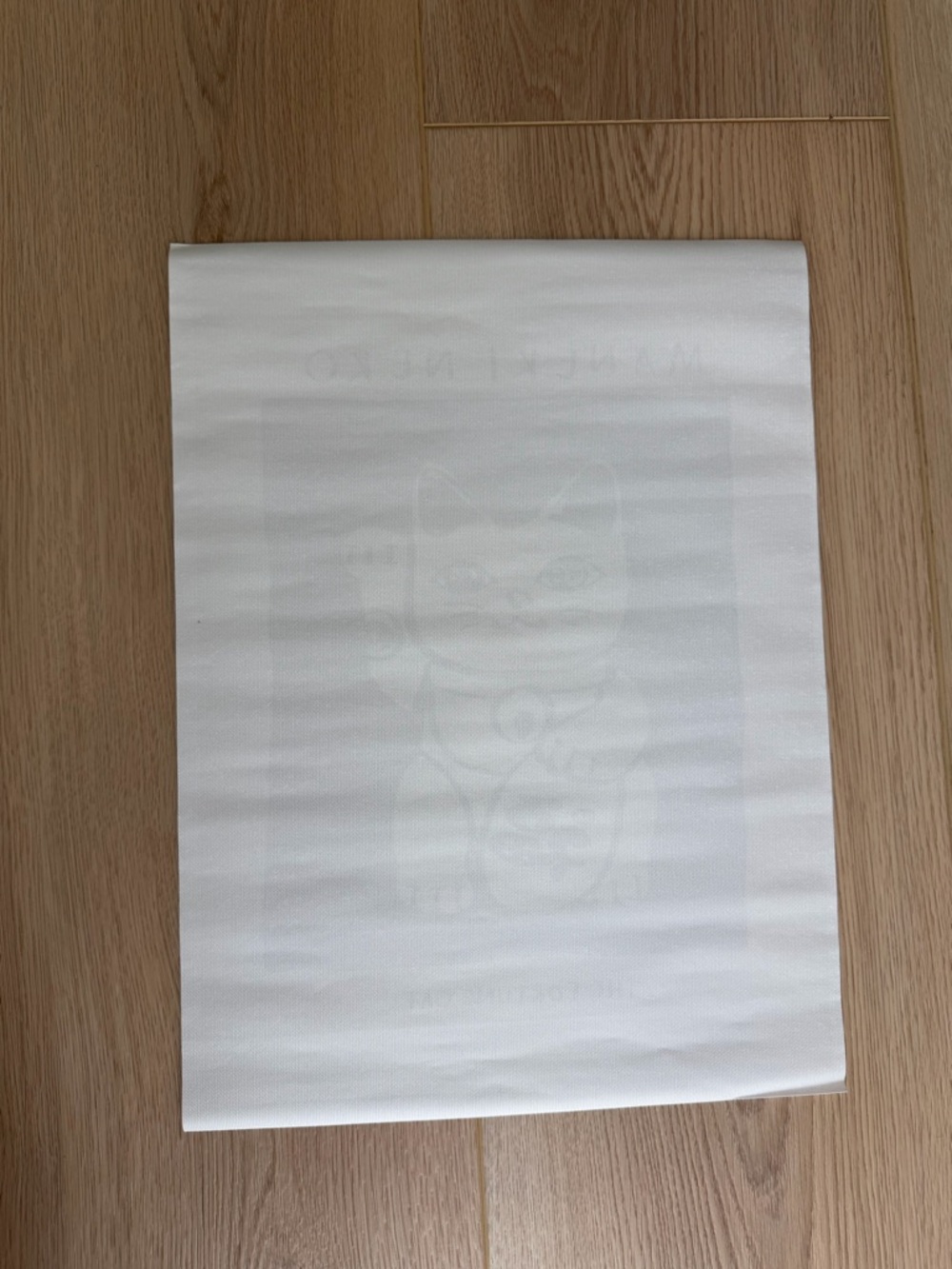 The Fortune Cat Canvas Art Print Poster - Picture 2 of 2